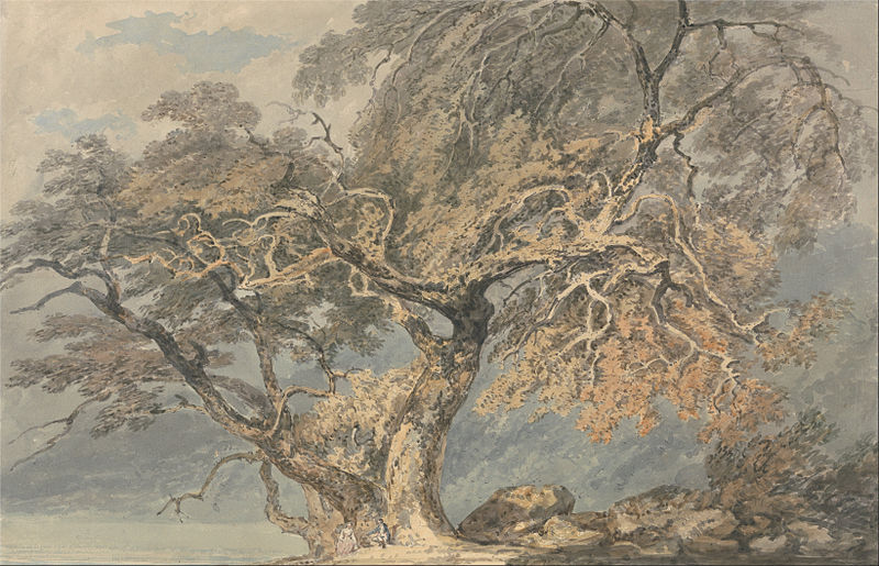 800px-Joseph_Mallord_William_Turner_-_A_Great_Tree_-_Google_Art_Project